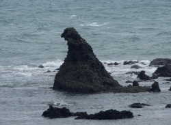 ゴジラ岩・・・思ったより小さかった!