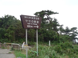 ヤセの断崖・・・立ち入り禁止でした 説明は写真をクリック!