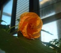 �A�u�`����