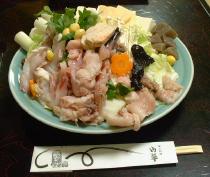 ���񂱂���