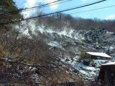 �V���������Ό���