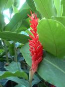 �A���r�j�A�@�u���v���^