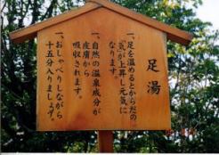 �����̌��\