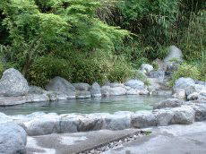 ���a�l�̖�V���C