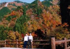 �ޗ����ɂāE�E�g�t����킾����