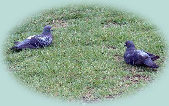 ���������I