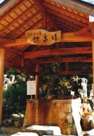 �����E�E�E�s�v�c�Ȗ���������I