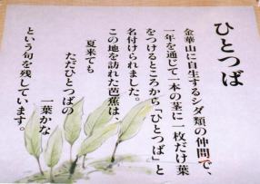 �ЂƂ΂̐���