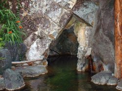 ���A���C�i�����j