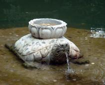 ����ȋT��������I