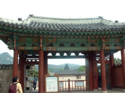 �i���{�����