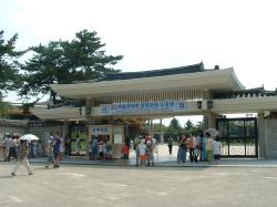 �����c�B�����ٓ����