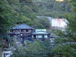 �R�Ԃ̒��ɂ���k���򗷊�