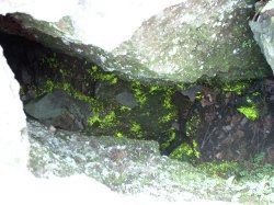 �q�J���S�P