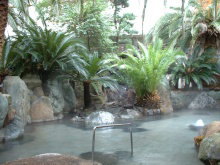 ��I�V���C