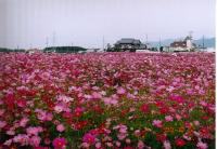 �R�X���X��