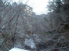 �I�V���C���猩���i�F