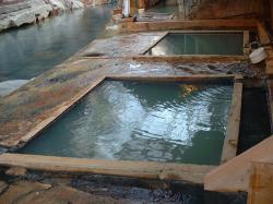 �ڂ̑O��삪�����I�V���C