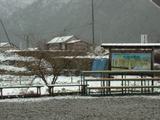 �����J�f�w