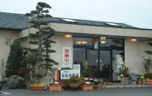 �����̉�������