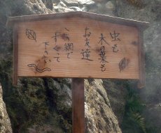 �I�V���C�ɂ́A����ȗ��ĎD��