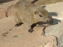 �����l���Ă���񂾂낤�H