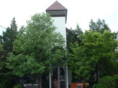 �y���V�����@���R