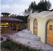 �o��q���C