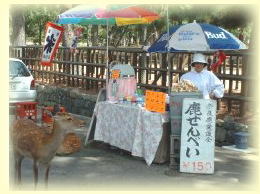 �ޗǌ����̎�