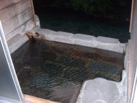 �Ƒ��I�V���C