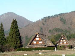 ���싽�̍�������