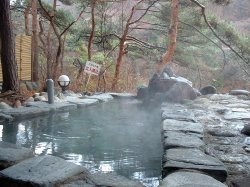 �S�{��ɗՂޒf�R�ɂ���I�V���C