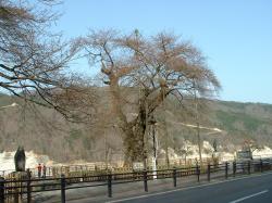 ������E�E�E�ڂ݌ł�