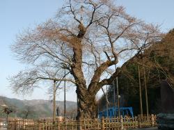 �ʂ̊p�x����̑����