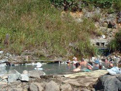 ���Y����