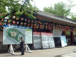 �^�v�R�����������