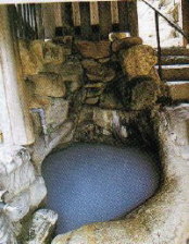 �ړ��E�E�E�M������