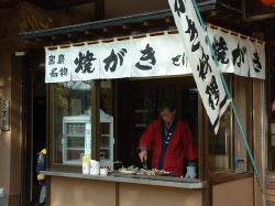 �Ă����̂��X