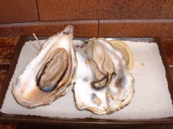 �Ă����E�E�E�������������_(~o~)�^