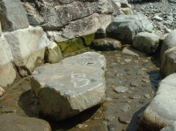 �����̓��E�E�E�|�����œ���Ȃ������@(T_T)